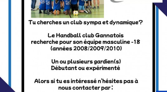 Recherche joueur -18 Masculin Gardien 
